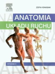 Anatomia układu ruchu