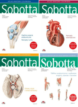 Atlas anatomii człowieka Sobotta. Angielskie mianownictwo. Tomy 1-3 + Tablice anatomiczne Sobotta. Angielskie mianownictwo