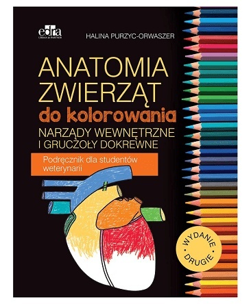 Anatomia zwierząt do kolorowania. Narządy wewnętrzne i gruczoły dokrewne