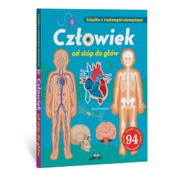 Człowiek od stóp do głów. Książka z ruchomymi el.