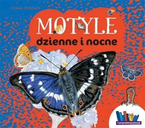Motyle dzienne i nocne