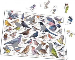 Układanka Garden Birds Ptaki ogrodowe polne Maxi