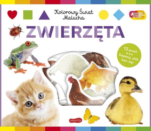 Zwierzęta Akademia mądrego dziecka. Kolorowy...
