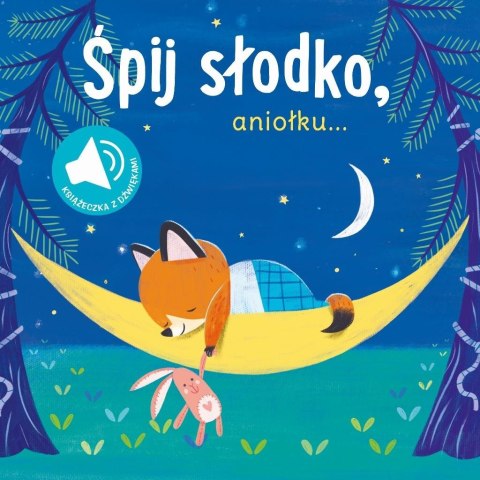 Książka z dźwiękiem. Śpij słodko aniołku