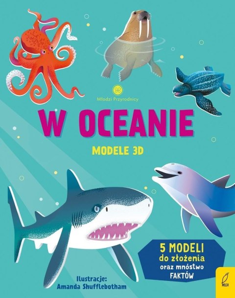 Młodzi przyrodnicy. W oceanie. Modele 3D