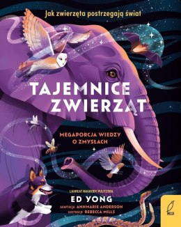 Tajemnice zwierząt. Mega porcja wiedzy o zmysłach