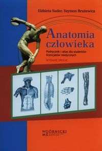 Anatomia człowieka