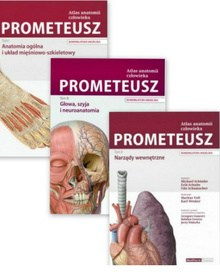 Prometeusz atlas anatomii człowieka TomI, TomII, Tom III. Nomenklatura angielska