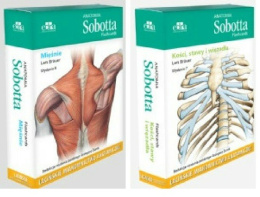 Anatomia Sobotta Flashcards. Mięśnie + Kości, stawy i więzadła. Łacińskie mianownictwo anatomiczne