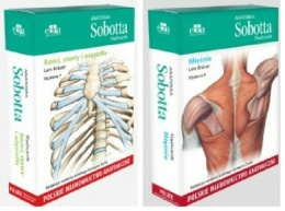 Anatomia Sobotta Flashcards. Mięśnie + Kości, stawy i więzadła. Polskie mianownictwo anatomiczne