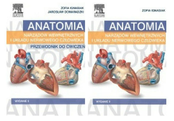 Anatomia narządów wewnętrznych i układu nerwowego człowieka: podręcznik + ćwiczenia