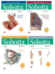 Atlas anatomii człowieka Sobotta. Łacińskie mianownictwo. Tomy 1-3 + Tablice anatomiczne Sobotta. Łacińskie mianownictwo