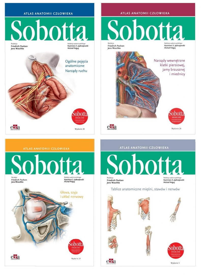 Atlas anatomii człowieka Sobotta. Angielskie mianownictwo. Tomy 1-3 + Tablice anatomiczne Sobotta. Angielskie mianownictwo