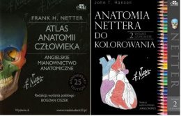 Atlas anatomii człowieka. Angielskie mianownictwo anatomiczne + Anatomia Nettera do kolorowania
