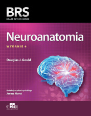 Neuroanatomia BRS