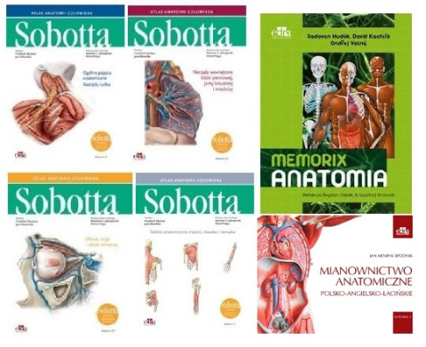 Atlas anatomii Sobotta Tomy 1-3 + Tablice anatomiczne Sobotta Łacińskie mian. + Memorix anatomia + Mianownictwo anatomiczne