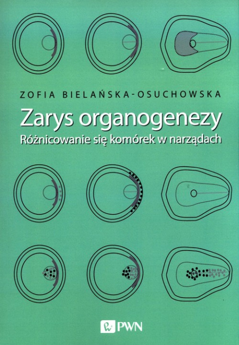 Zarys organogenezy