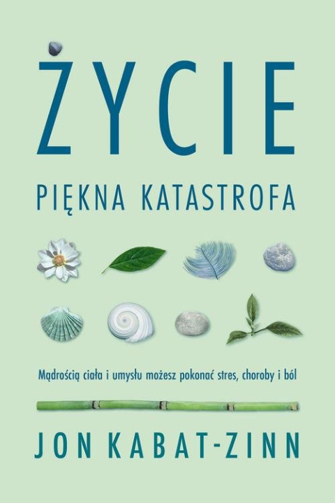 Życie piękna katastrofa