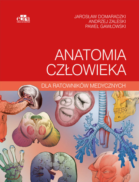 Anatomia człowieka dla ratowników medycznych