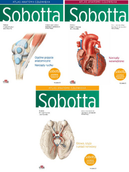 Atlas anatomii człowieka Sobotta. Łacińskie mianownictwo. Tomy 1-3