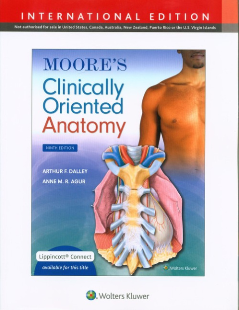 Moore's Clinically Oriented Anatomy